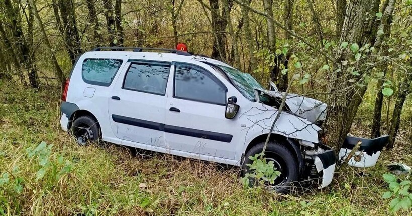На Житомирщині сталась смертельна ДТП: водій загинув після зіткнення з деревом