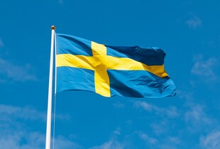 Україна закупить 120-150 новітніх шведських винищувачів Gripen E - Крістерссон