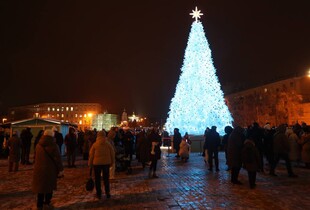 Головна ялинка України: коли і де встановлять та за чиї гроші