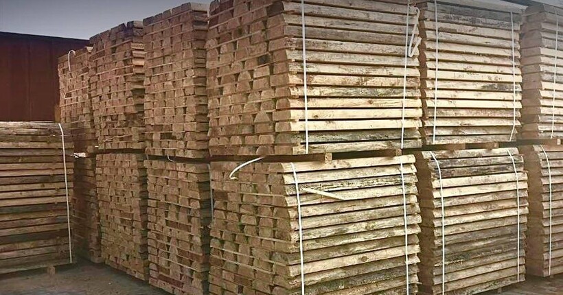 Контрабанда деревини на 2 млн грн: БЕБ провело 60 обшуків у Києві