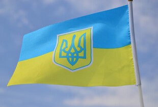 Мирний план не повинен карати жертву - президент Чехії