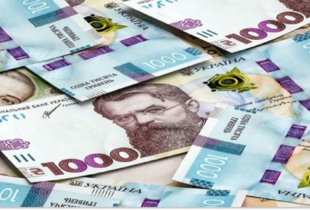Близько 14 мільйонів українців подали заявки на "Зимову підтримку"