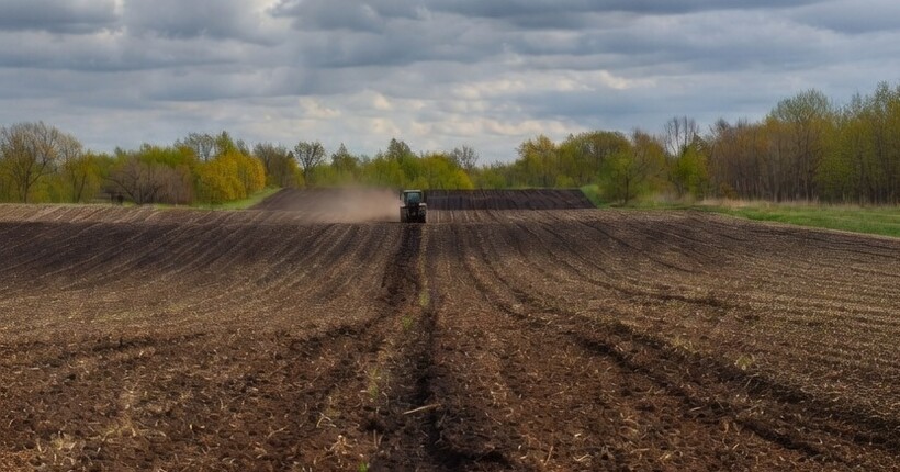 Посівна-2026 в Україні обійдеться на 15% дорожче: як це вплине на ціни на продукти