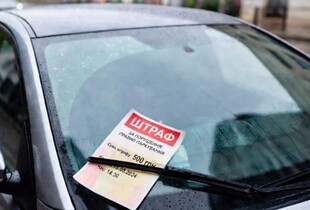 Штрафи за неправльне паркування можна перевірити в "Дії" - МВС