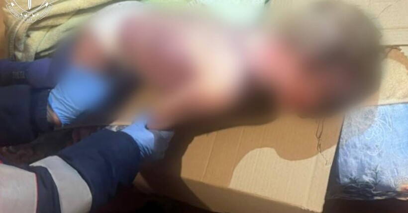 Сховала тіло дворічного сина у коробці в шафі: на Київщині жінці оголосили підозру