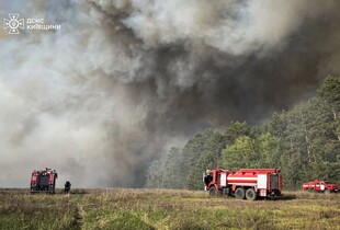 На Київщині спалахнула масштабна лісова пожежа: вогонь охопив 100 га