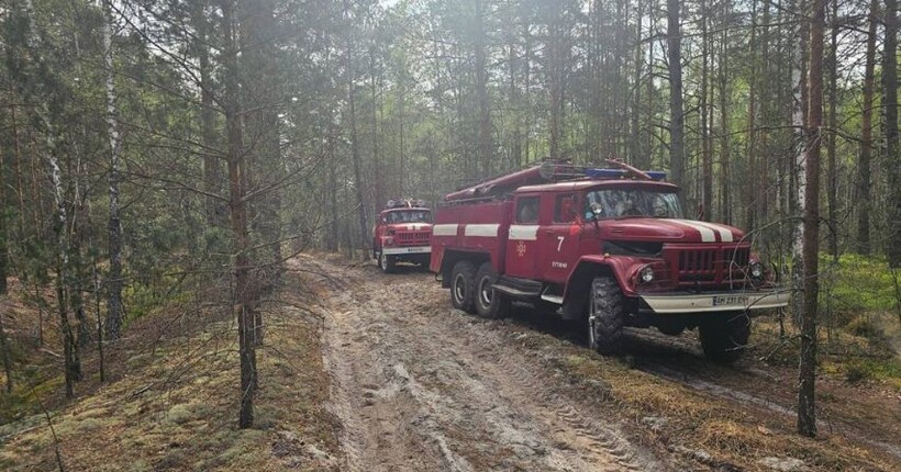 На Житомирщині локалізували масштабну пожежу у Поліському заповіднику