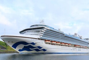 На круїзному лайнері Caribbean Princess спалахнув норовірус: захворіли понад 100 людей