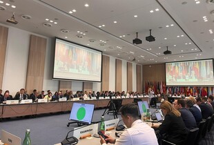ОБСЄ провела спецзасідання через масований обстріл Києва: Сибіга озвучив результати