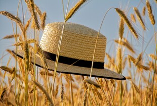 Прогноз на 1 червня: якою буде погода в перший день літа