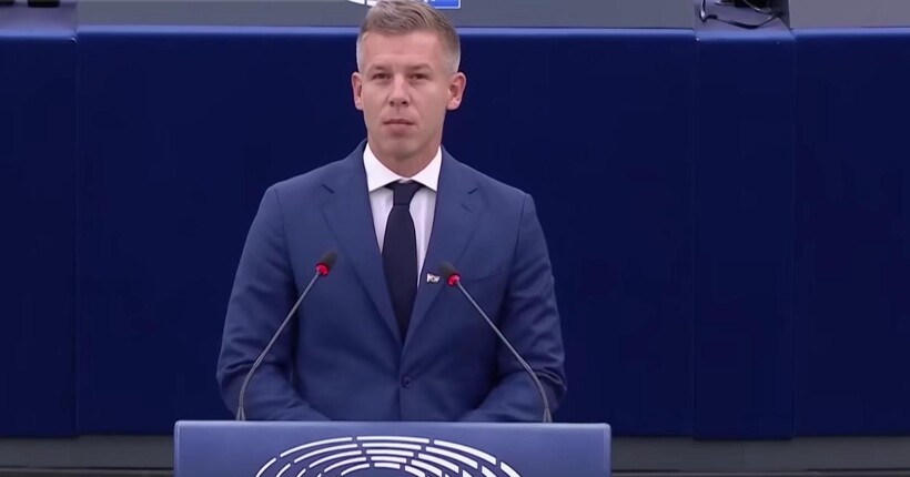 Зустріч Зеленського та Мадяра: в МЗС заявили про підготовку до переговорів