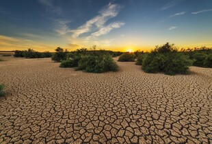 NOAA офіційно оголосило про початок Ель-Ніньйо: що це означає для погоди
