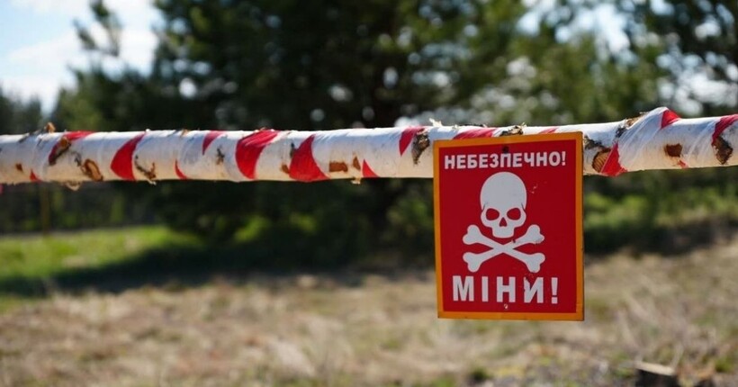 На Миколаївщині розмінували понад 700 000 га земель - Кім