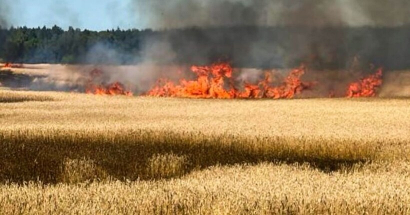 На Чернігівщині через ворожу атаку БпЛА спалахнула пожежа на пшеничному полі (фото)