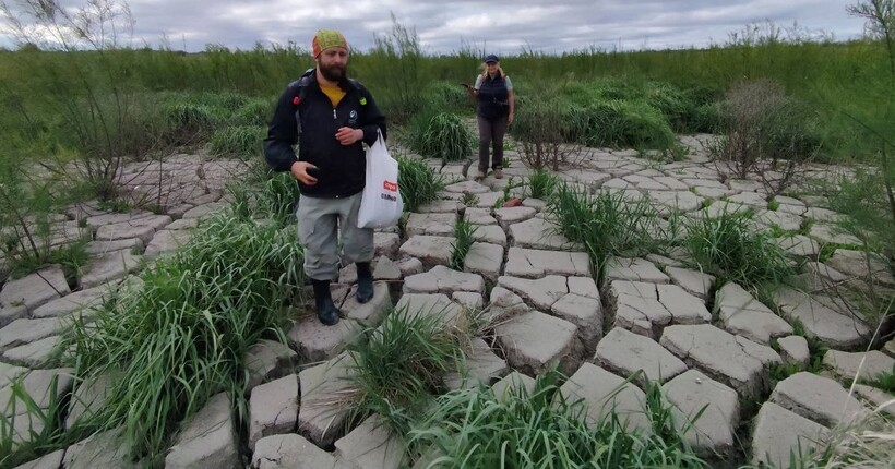 На місці Каховського водосховища формується найбільший заплавний ліс в Європі 