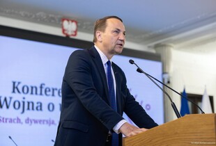 Сікорський закликав ЄС посилити контроль за візами для громадян рф