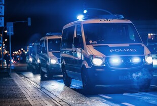 В Німеччині біля високовольтних ліній виявили 21 вибуховий пристрій: поліція розслідує диверсію