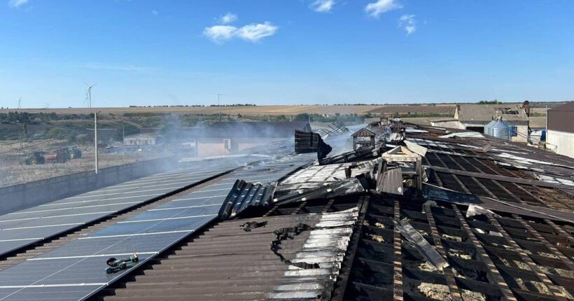 Росіяни вдарили по птахофермі на Одещині: частина свійської птиці загинула