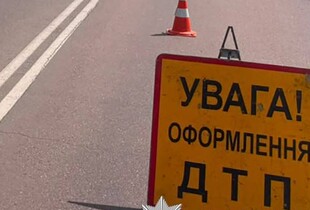 В Дії тепер можна оформити Європротокол: як це зробити і які умови