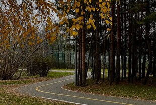 Найтепліший день осені: українців порадували прогнозом погоди на 8 жовтня