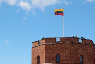 В Литві намагалися підпалити об'єкт Starlink: що відомо
