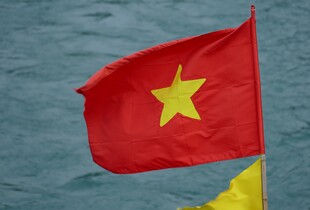 Допомога Україні перед зимою: В'єтнам виділив пів мільйона доларів
