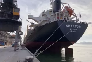 “Зерновий коридор”: Україна вже експортувала 21 млн тонн зерна морем, найбільше - кукурудзи