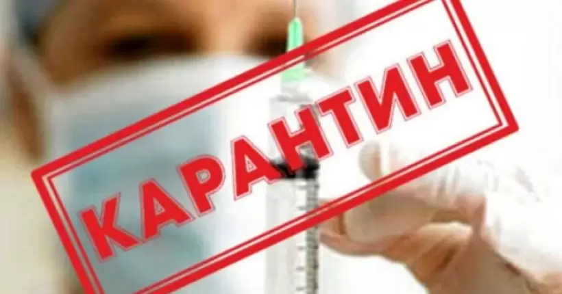 Через скажене кошеня в низці громад на Київщині оголошено карантин на два місяці