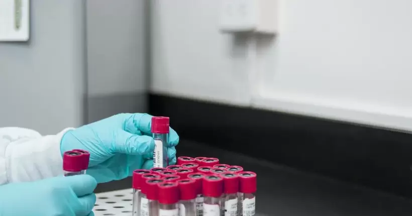 Першу у світі смерть від пташиного грипу H3N8 зафіксували в КНР: зараження сталось на ринку