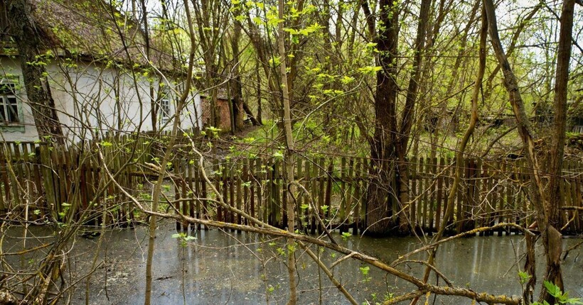 Аномальне водопілля: що стало причиною та як Україна готується до другого піку паводка