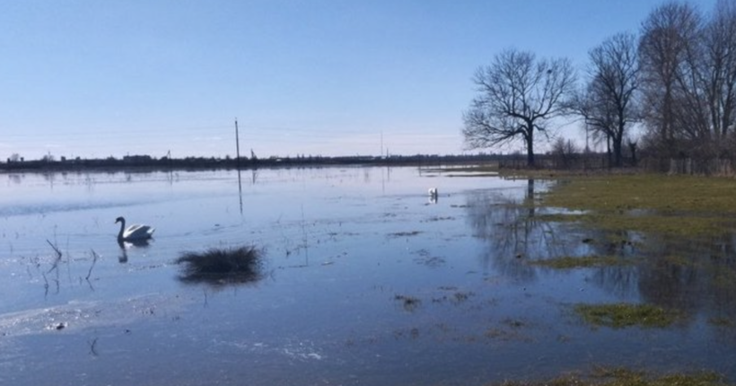 Повінь іде на спад: за добу рівень води в підтоплених регіонах України суттєво знизився