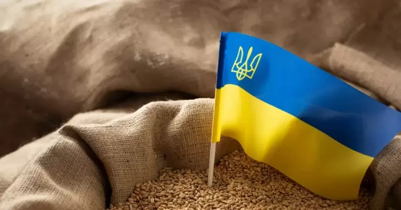 Обсяги роботи зернової ініціативи значно впали, - Братчук