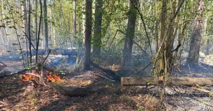 На Чернігівщині загарбники обстріляли освітній заклад: загинула дитина