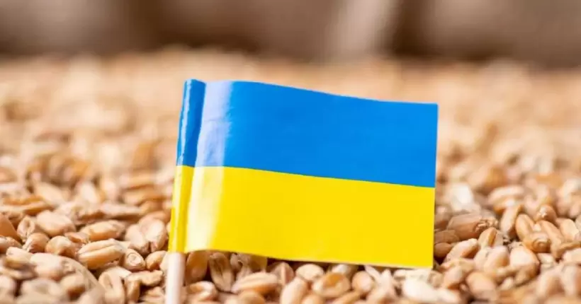 Державні резерви формуватимуть по-новому: хто і чим їх наповнить та як будуть контролювати