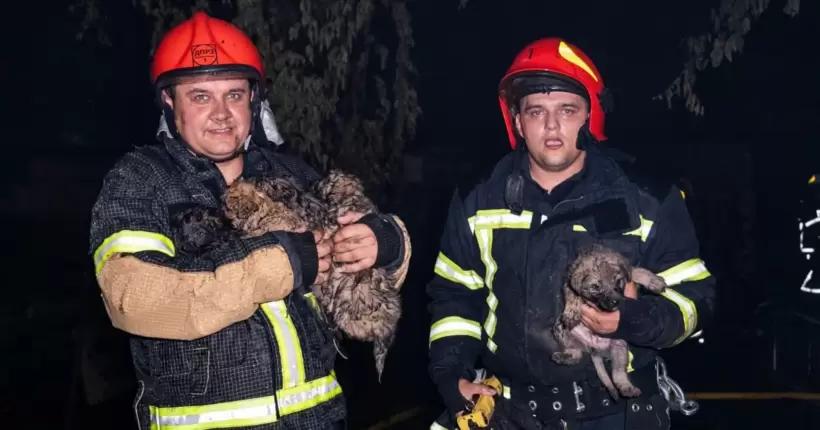 У Хмельницькому пожежники врятували з вогню шістьох цуценят (фото)