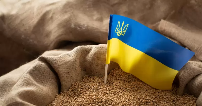 За час роботи 