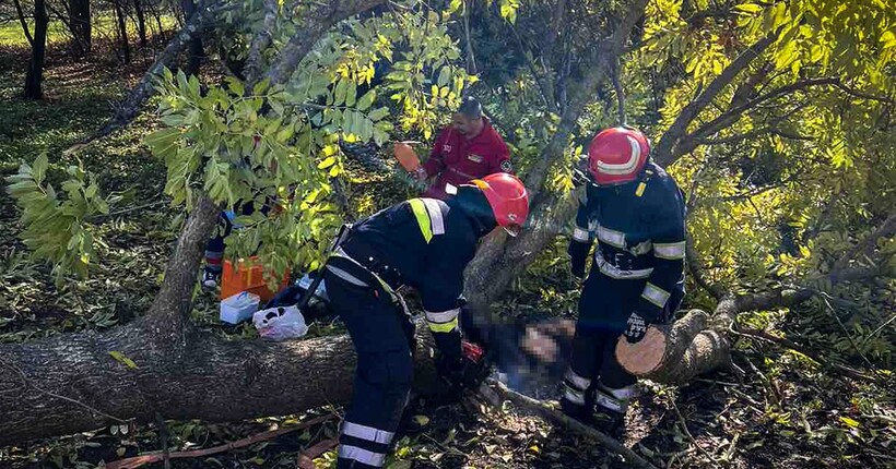 Повалені дерева та вбиті люди: які наслідки негоди в Україні
