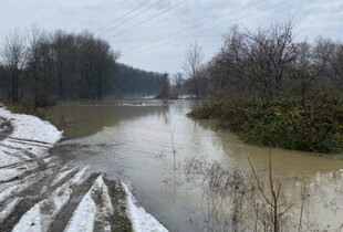 На Закарпатті через дощі у річках значно піднялася вода: затоплено вже 440 га