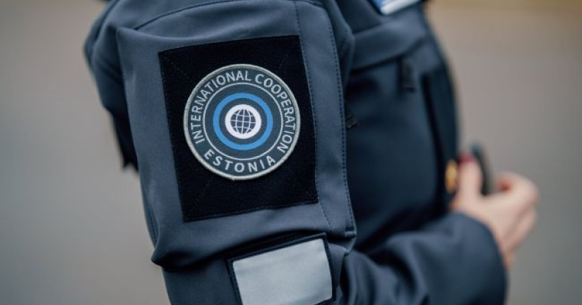 В Естонії пропагандистку рф відправили під варту