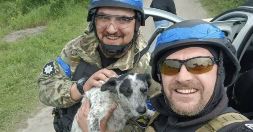 Стецина розповів, як відбувається евакуація з Харківщини: Люди просять забрати навіть курей та кіз