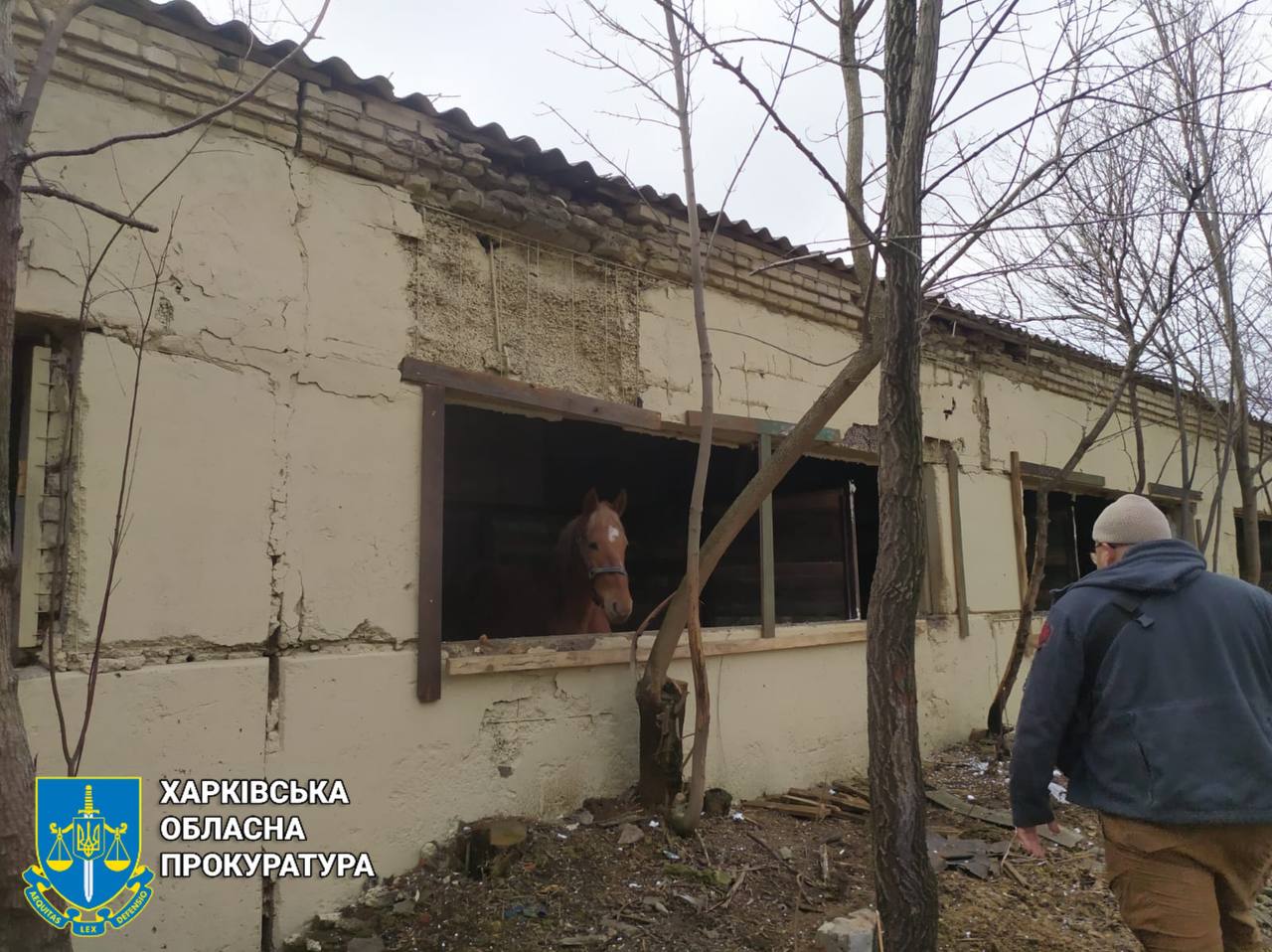 удар по притулку