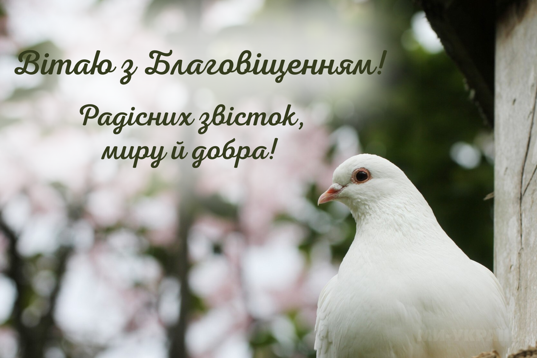 листівки до Благовіщення