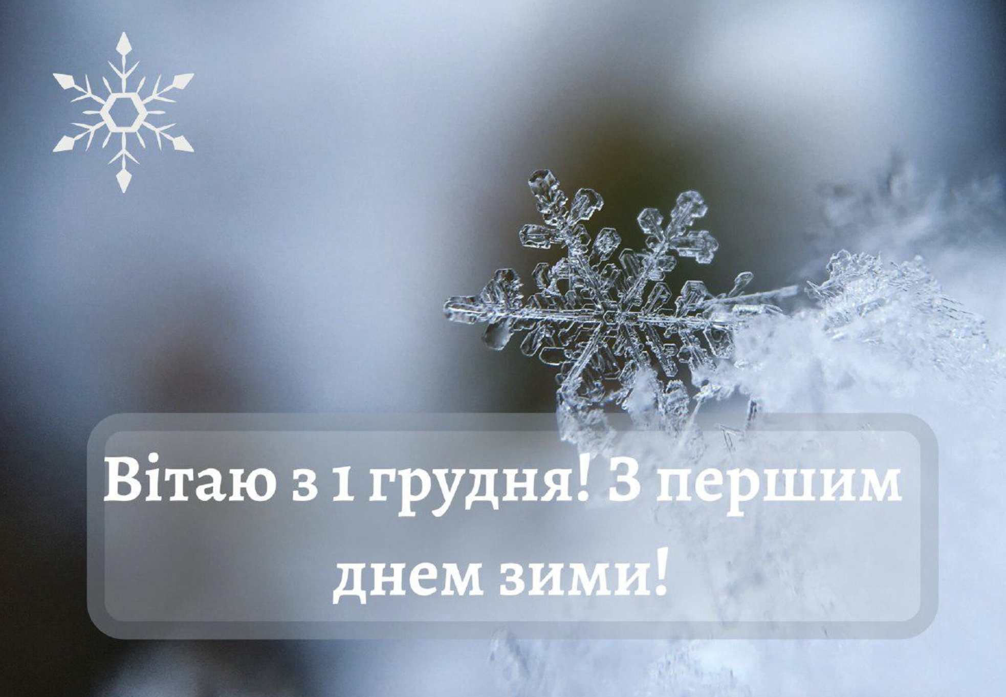 привітання з 1 грудня