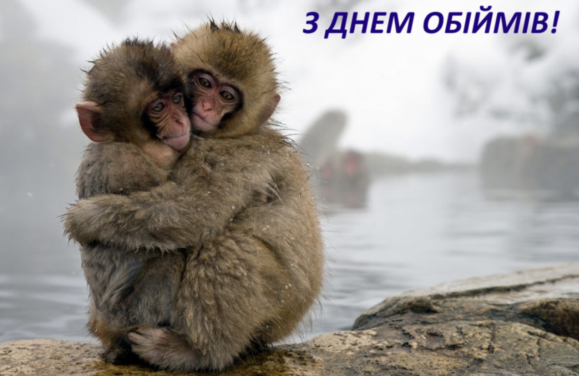 День обіймів картинка