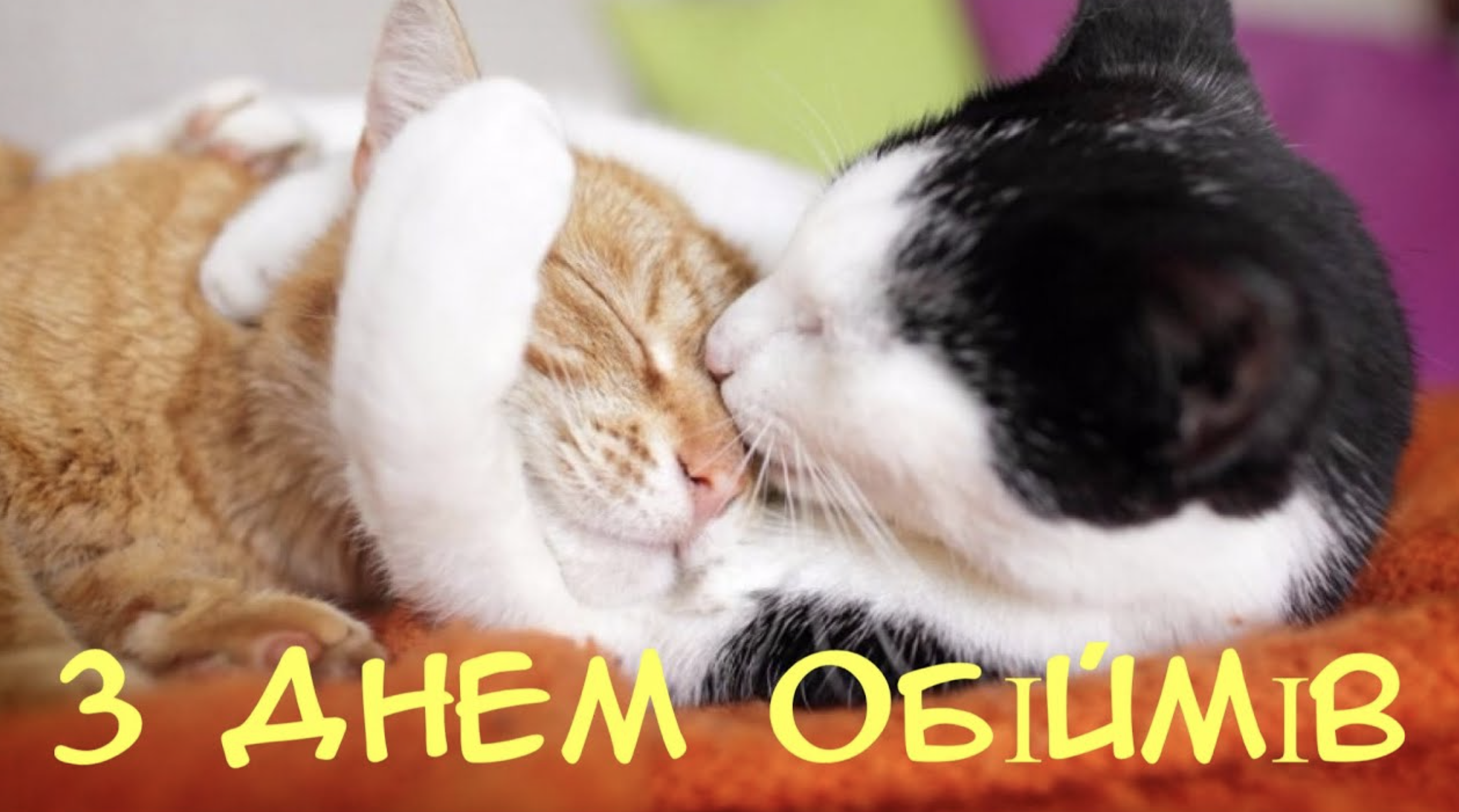 Міжнародний день обіймів 21 січня