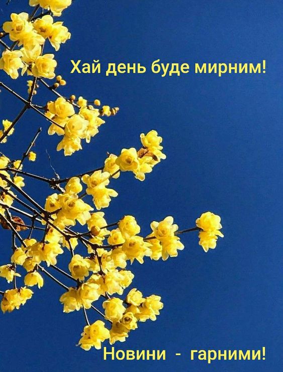 прикольні картинки доброго ранку